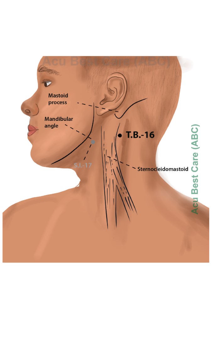 Acubestcare Meridian TW-16 or TB-16